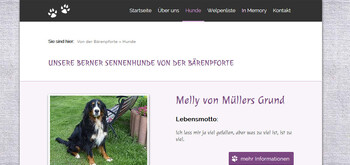 Neue Homepage - Berner von der Bärenpforte