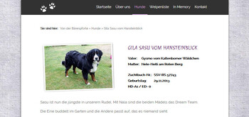 Neue Homepage - Berner von der Bärenpforte
